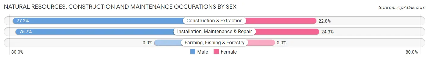 Natural Resources, Construction and Maintenance Occupations by Sex in Zip Code 01860