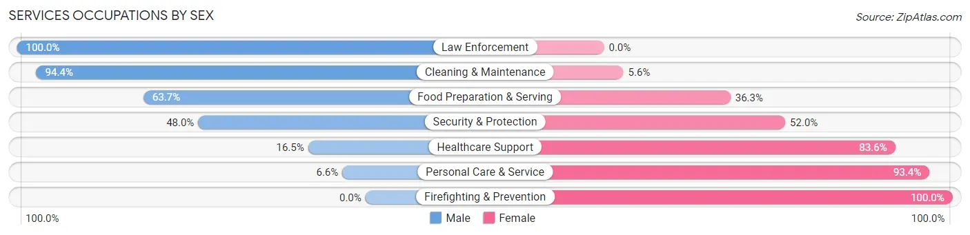 Services Occupations by Sex in Zip Code 01907