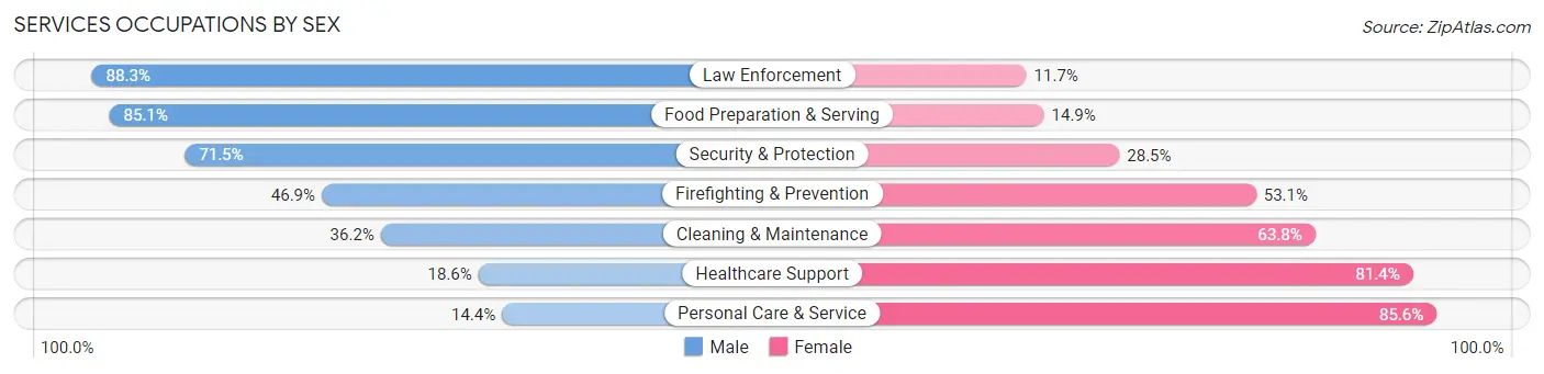 Services Occupations by Sex in Zip Code 01945
