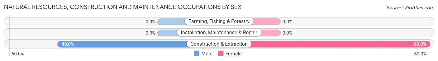 Natural Resources, Construction and Maintenance Occupations by Sex in Zip Code 02071
