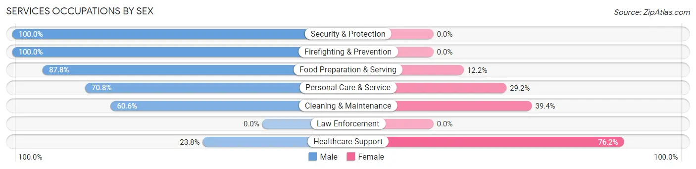 Services Occupations by Sex in Zip Code 02113