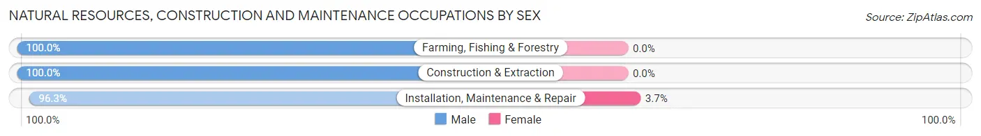 Natural Resources, Construction and Maintenance Occupations by Sex in Zip Code 02125