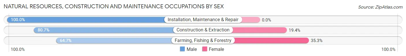 Natural Resources, Construction and Maintenance Occupations by Sex in Zip Code 02138