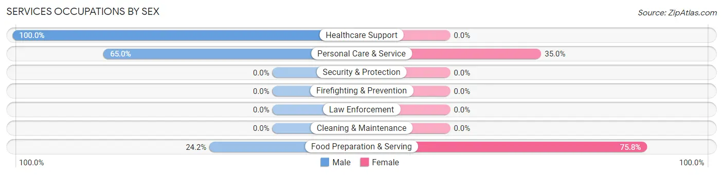 Services Occupations by Sex in Zip Code 02142