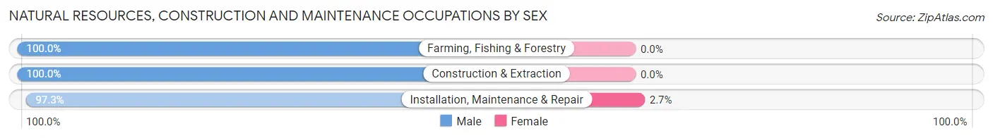 Natural Resources, Construction and Maintenance Occupations by Sex in Zip Code 02346