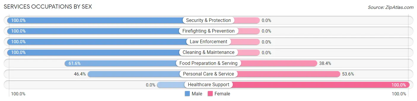 Services Occupations by Sex in Zip Code 02492