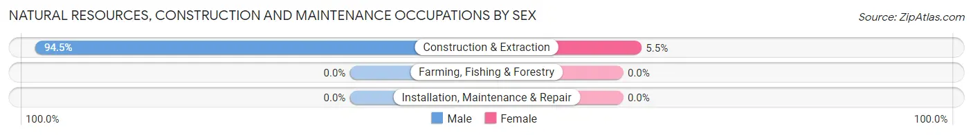 Natural Resources, Construction and Maintenance Occupations by Sex in Zip Code 02575