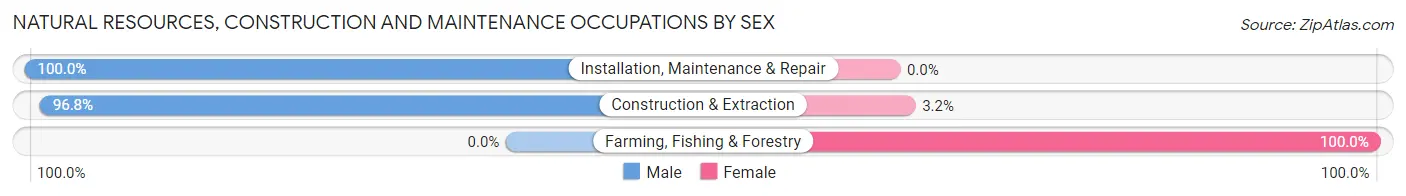 Natural Resources, Construction and Maintenance Occupations by Sex in Zip Code 02645