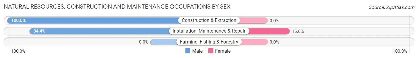 Natural Resources, Construction and Maintenance Occupations by Sex in Zip Code 02904