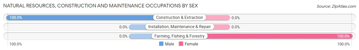 Natural Resources, Construction and Maintenance Occupations by Sex in Zip Code 02918