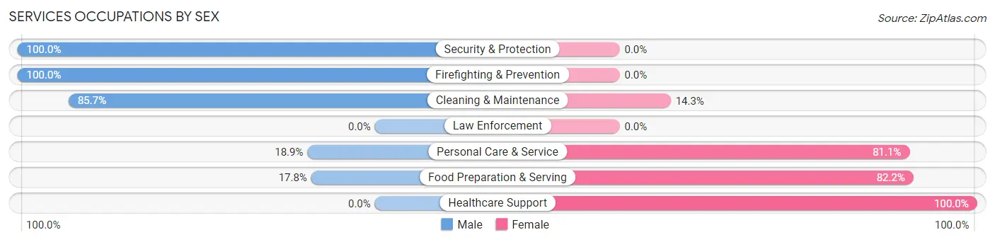 Services Occupations by Sex in Zip Code 03042