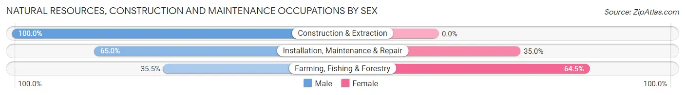 Natural Resources, Construction and Maintenance Occupations by Sex in Zip Code 03071