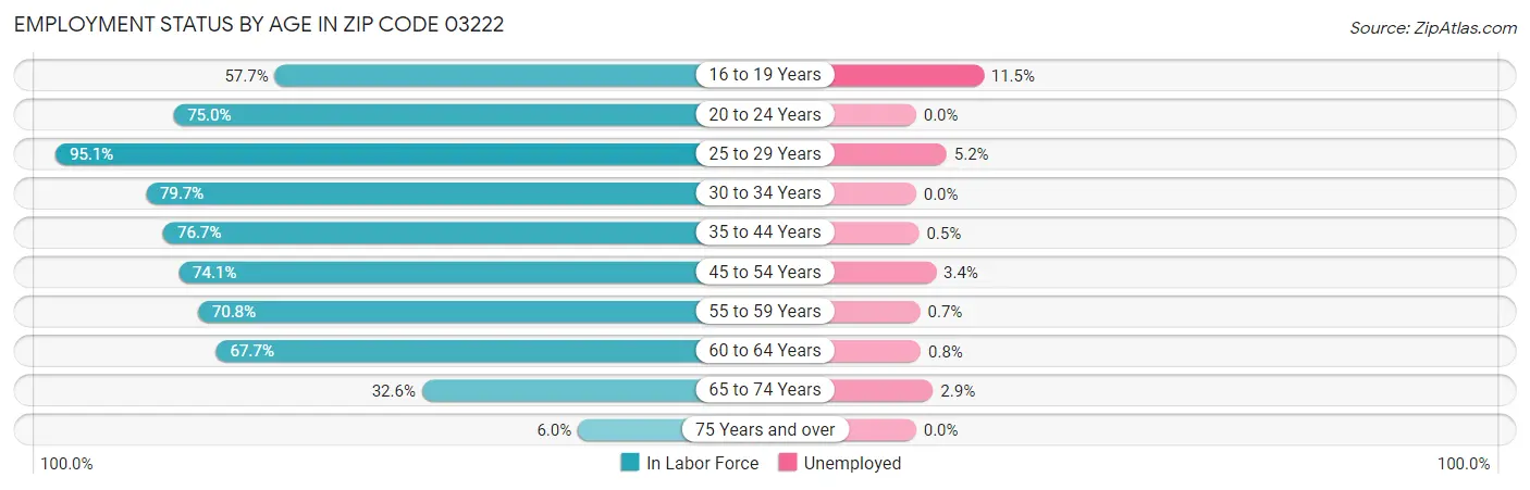 Employment Status by Age in Zip Code 03222