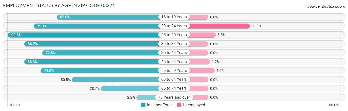 Employment Status by Age in Zip Code 03224
