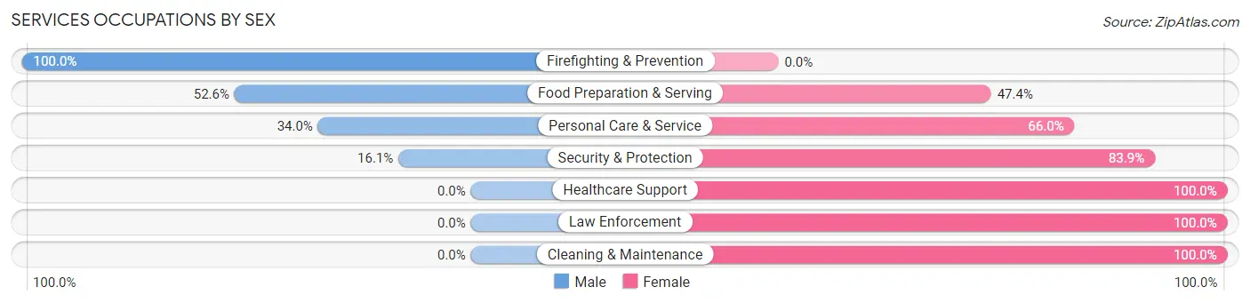 Services Occupations by Sex in Zip Code 03245