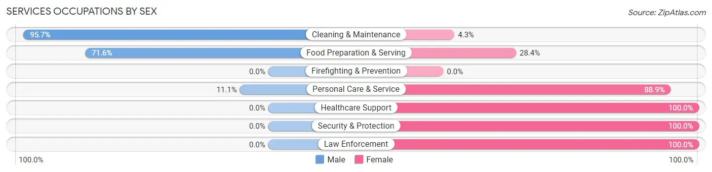 Services Occupations by Sex in Zip Code 03249