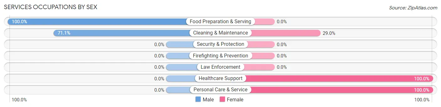 Services Occupations by Sex in Zip Code 03260