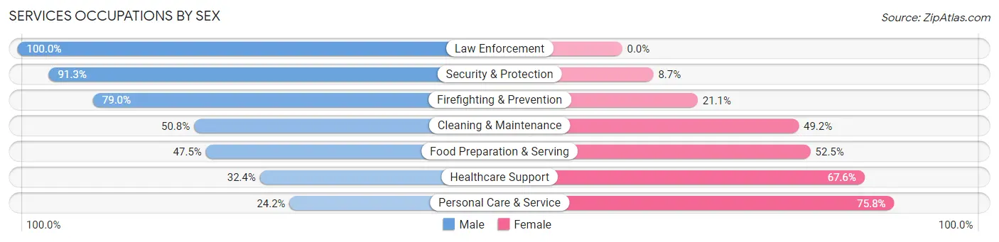 Services Occupations by Sex in Zip Code 03301