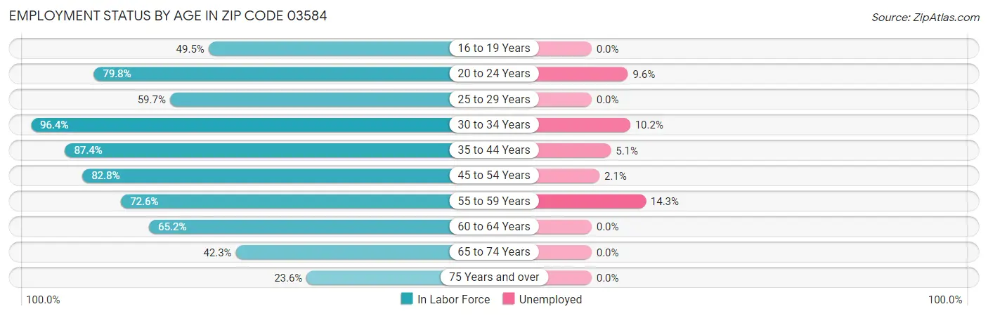 Employment Status by Age in Zip Code 03584