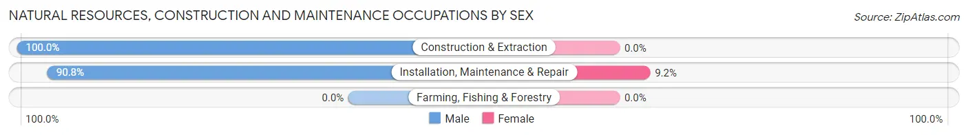 Natural Resources, Construction and Maintenance Occupations by Sex in Zip Code 03598