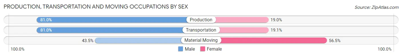 Production, Transportation and Moving Occupations by Sex in Zip Code 03598