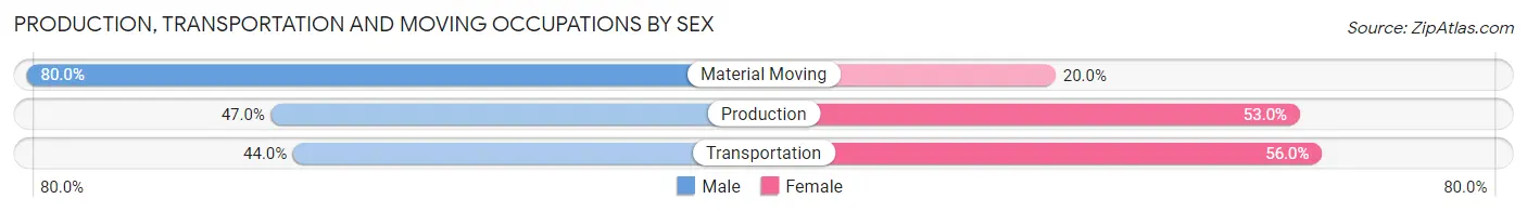 Production, Transportation and Moving Occupations by Sex in Zip Code 03608