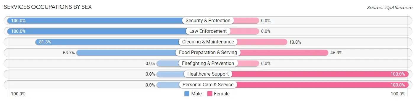 Services Occupations by Sex in Zip Code 03740