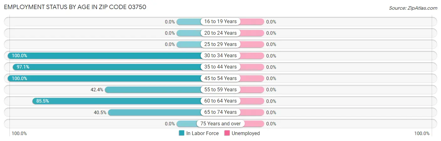 Employment Status by Age in Zip Code 03750