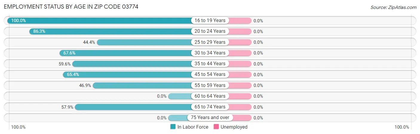 Employment Status by Age in Zip Code 03774