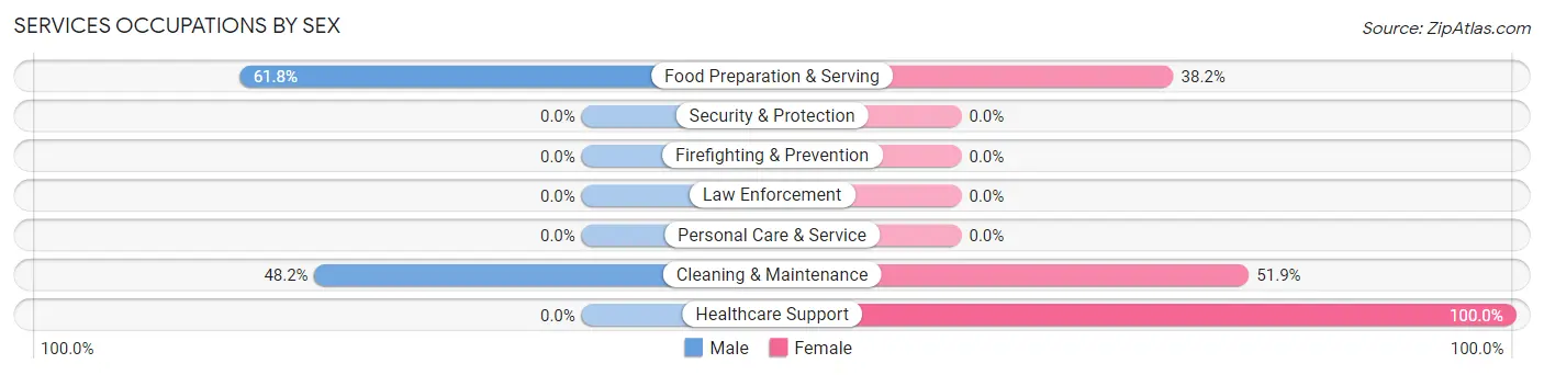 Services Occupations by Sex in Zip Code 03781