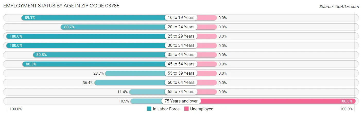 Employment Status by Age in Zip Code 03785
