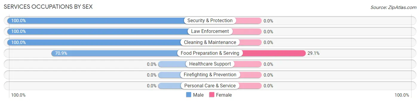 Services Occupations by Sex in Zip Code 03830