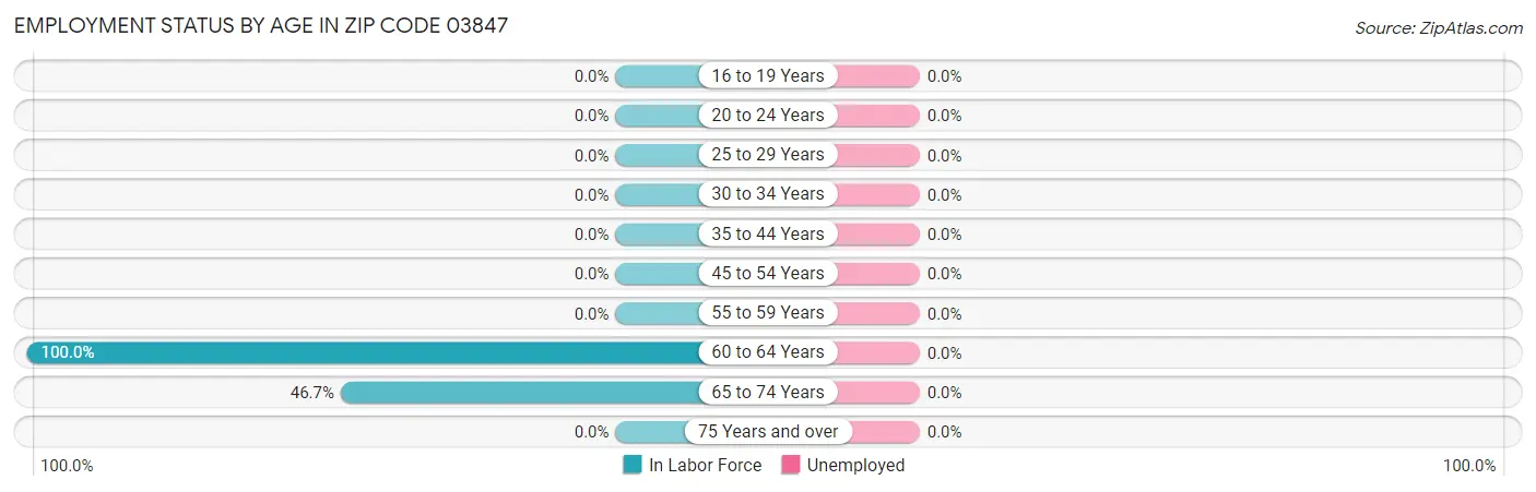 Employment Status by Age in Zip Code 03847