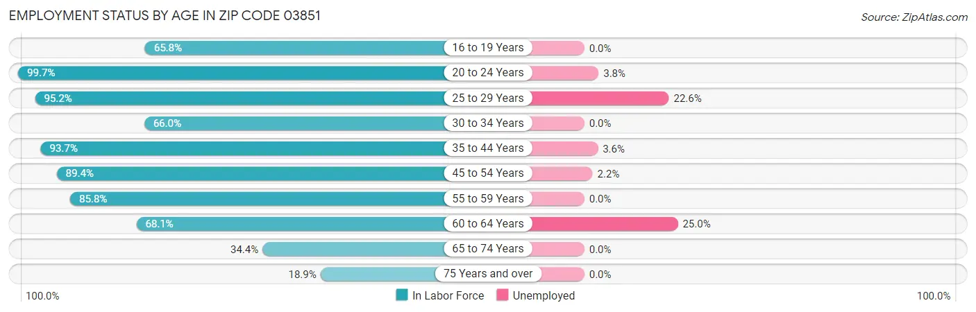Employment Status by Age in Zip Code 03851