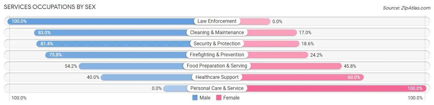 Services Occupations by Sex in Zip Code 03851