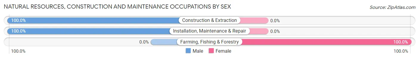 Natural Resources, Construction and Maintenance Occupations by Sex in Zip Code 03861