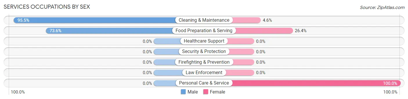 Services Occupations by Sex in Zip Code 03861