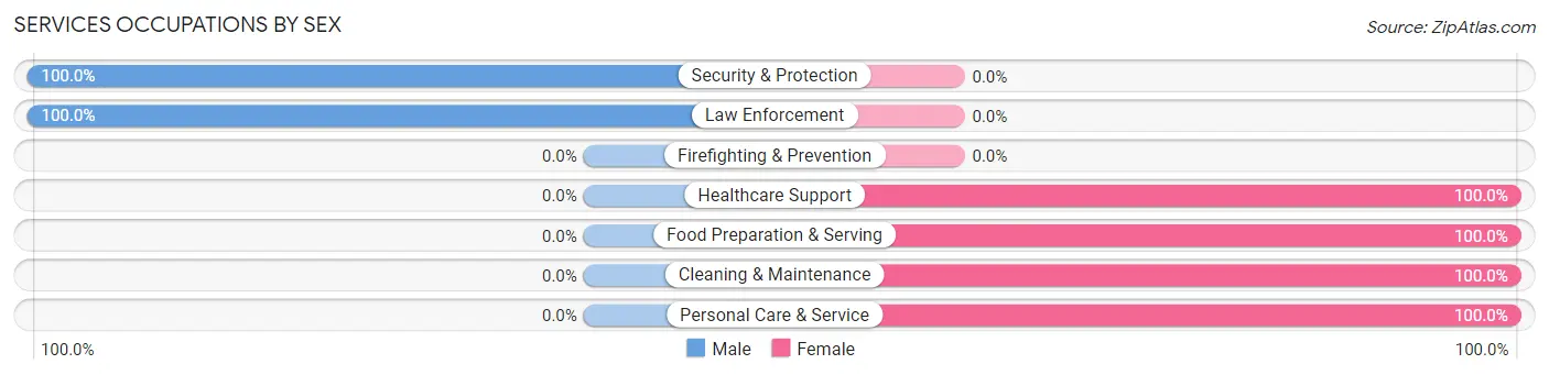 Services Occupations by Sex in Zip Code 03864