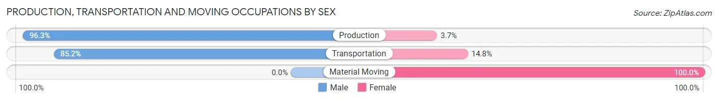 Production, Transportation and Moving Occupations by Sex in Zip Code 03865