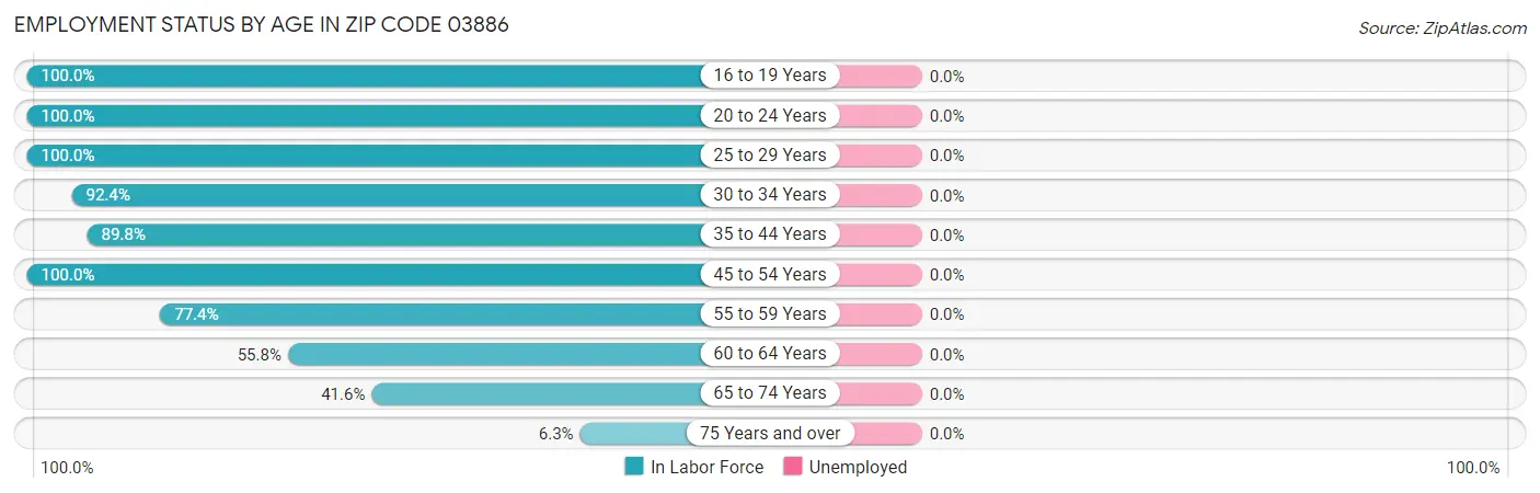 Employment Status by Age in Zip Code 03886