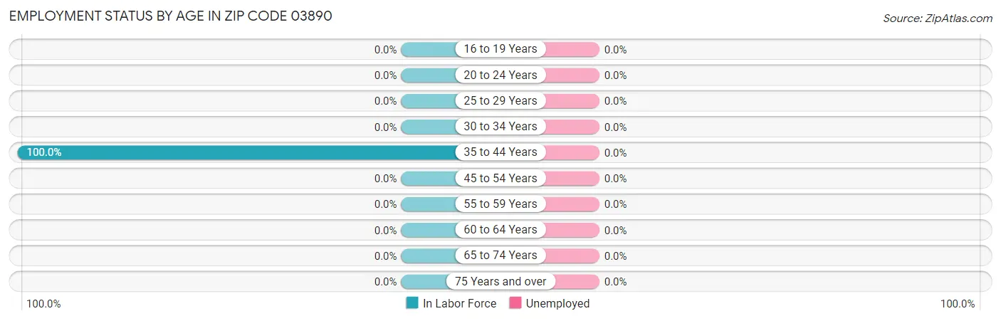 Employment Status by Age in Zip Code 03890