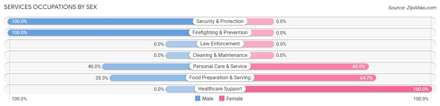 Services Occupations by Sex in Zip Code 04017