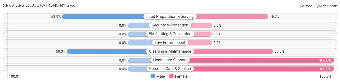Services Occupations by Sex in Zip Code 04108