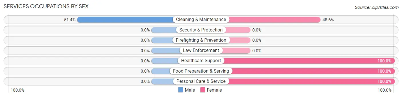 Services Occupations by Sex in Zip Code 04929