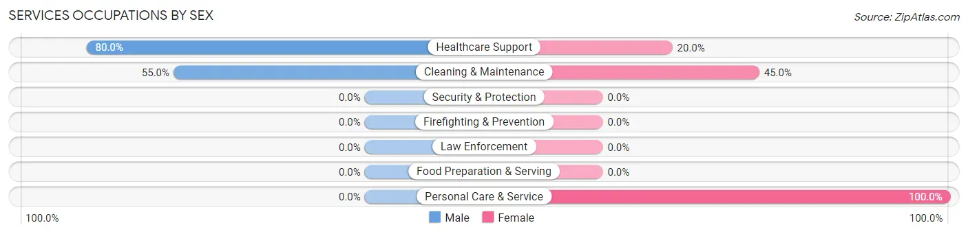 Services Occupations by Sex in Zip Code 05040