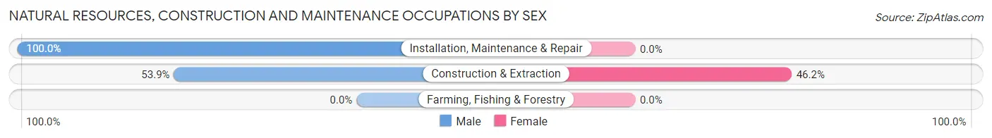 Natural Resources, Construction and Maintenance Occupations by Sex in Zip Code 05056