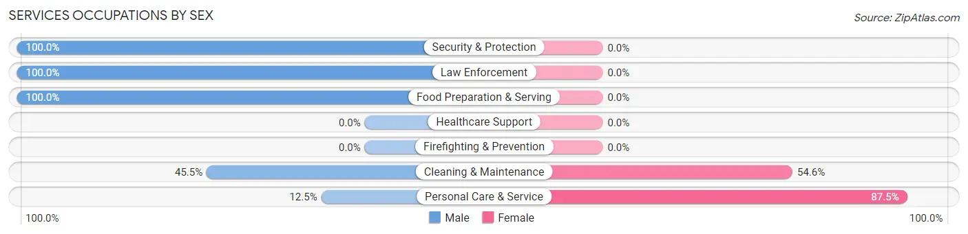 Services Occupations by Sex in Zip Code 05161
