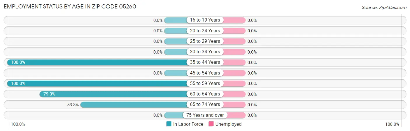 Employment Status by Age in Zip Code 05260