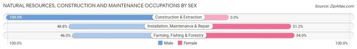 Natural Resources, Construction and Maintenance Occupations by Sex in Zip Code 05401