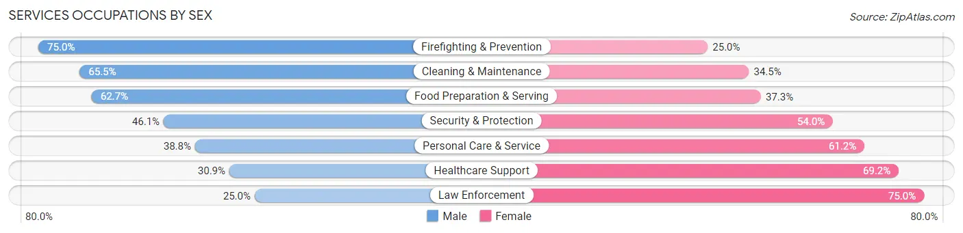 Services Occupations by Sex in Zip Code 05408